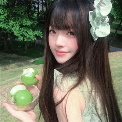 月季花开